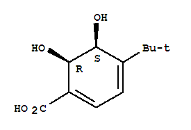 (9ci)-4-(1,1-二甲基乙基)-5,6-二羥基-1,3-環(huán)己二烯-1-羧酸結(jié)構(gòu)式_775267-87-3結(jié)構(gòu)式