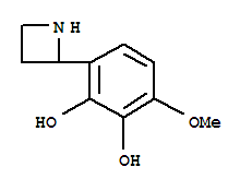 1,2-Benzenediol,3-(2-azetidinyl)-6-methoxy-(9ci)Structure,777888-69-4Structure 1,2-Benzenediol,3-(2-azetidinyl)-6-methoxy-(9ci) Structure,777888-69-4Structure