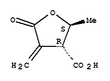 3-Furancarboxylicacid,tetrahydro-2-methyl-4-methylene-5-oxo-,(2r,3s)-rel-(9ci)Structure,778649-16-4Structure 3-Furancarboxylicacid,tetrahydro-2-methyl-4-methylene-5-oxo-,(2r,3s)-rel-(9ci) Structure,778649-16-4Structure
