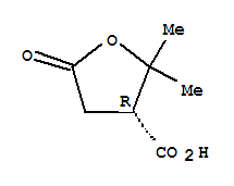 3-Furancarboxylicacid,tetrahydro-2,2-dimethyl-5-oxo-,(3r)-(9ci)Structure,783349-41-7Structure 3-Furancarboxylicacid,tetrahydro-2,2-dimethyl-5-oxo-,(3r)-(9ci) Structure,783349-41-7Structure