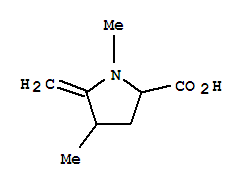 Proline, 1,4-dimethyl-5-methylene-(7ci)Structure,90087-75-5Structure Proline, 1,4-dimethyl-5-methylene-(7ci) Structure,90087-75-5Structure