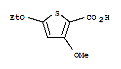 2-Thiophenecarboxylicacid,5-ethoxy-3-methoxy-(9ci)Structure,95202-08-7Structure 2-Thiophenecarboxylicacid,5-ethoxy-3-methoxy-(9ci) Structure,95202-08-7Structure