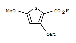 2-Thiophenecarboxylicacid,3-ethoxy-5-methoxy-(9ci)Structure,95202-11-2Structure 2-Thiophenecarboxylicacid,3-ethoxy-5-methoxy-(9ci) Structure,95202-11-2Structure