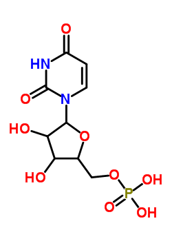 聚尿苷酸鉀鹽結(jié)構(gòu)式_28086-43-3結(jié)構(gòu)式