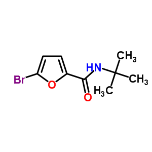 5-Bromo-n-(tert-butyl)-2-furamideStructure,356562-19-1Structure 5-Bromo-n-(tert-butyl)-2-furamide Structure,356562-19-1Structure