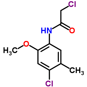 2-Chloro-n-(4-chloro-2-methoxy-5-methyl-phenyl)-acetamideStructure,379255-21-7Structure 2-Chloro-n-(4-chloro-2-methoxy-5-methyl-phenyl)-acetamide Structure,379255-21-7Structure