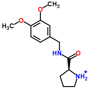 Pyrrolidine-2-carboxylic acid 3,4-dimethoxy-benzylamideStructure,438581-56-7Structure Pyrrolidine-2-carboxylic acid 3,4-dimethoxy-benzylamide Structure,438581-56-7Structure