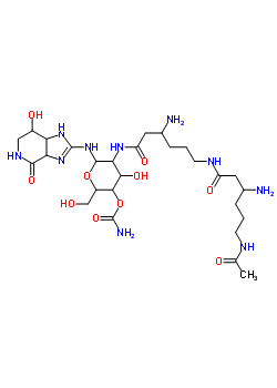 N-beta-acetylstreptothricin eStructure,52599-88-9Structure N-beta-acetylstreptothricin e Structure,52599-88-9Structure