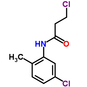 3-Chloro-n-(5-chloro-2-methylphenyl)propanamideStructure,544682-32-8Structure 3-Chloro-n-(5-chloro-2-methylphenyl)propanamide Structure,544682-32-8Structure