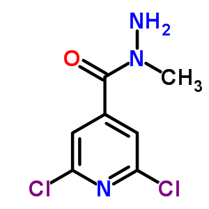 N-methyl-2,6-dichloroisonicotinic hydrazideStructure,57803-52-8Structure N-methyl-2,6-dichloroisonicotinic hydrazide Structure,57803-52-8Structure