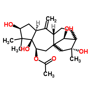 6-O-乙?；巨继J毒素 II結(jié)構(gòu)式_59236-87-2結(jié)構(gòu)式