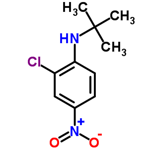 Benzenamine,2-chloro-n-(1,1-dimethylethyl)-4-nitro-Structure,6085-52-5Structure Benzenamine,2-chloro-n-(1,1-dimethylethyl)-4-nitro- Structure,6085-52-5Structure