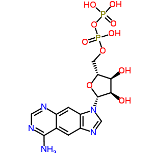 Linear-benzoadenosine diphosphateStructure,61925-59-5Structure Linear-benzoadenosine diphosphate Structure,61925-59-5Structure