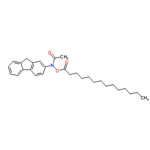 N-myristoyloxy-n-acetyl-2-aminofluoreneStructure,63224-44-2Structure N-myristoyloxy-n-acetyl-2-aminofluorene Structure,63224-44-2Structure