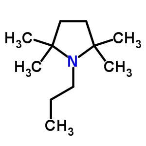 1-Propyl-2,2,5,5-tetramethylpyrrolidineStructure,63886-59-9Structure 1-Propyl-2,2,5,5-tetramethylpyrrolidine Structure,63886-59-9Structure