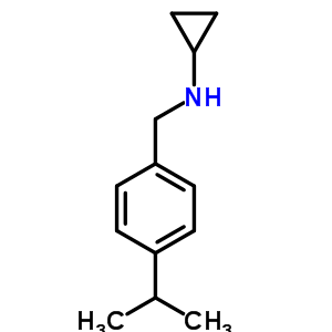 N-(4-isopropylbenzyl)cyclopropanamineStructure,848658-77-5Structure N-(4-isopropylbenzyl)cyclopropanamine Structure,848658-77-5Structure