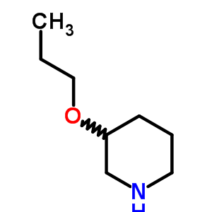 3-丙氧基-哌啶結(jié)構(gòu)式_89122-72-5結(jié)構(gòu)式